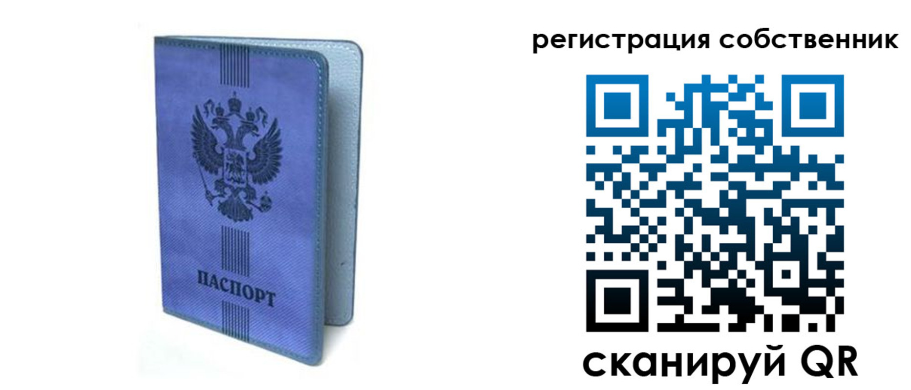 прописка 2025 в Светлогорске