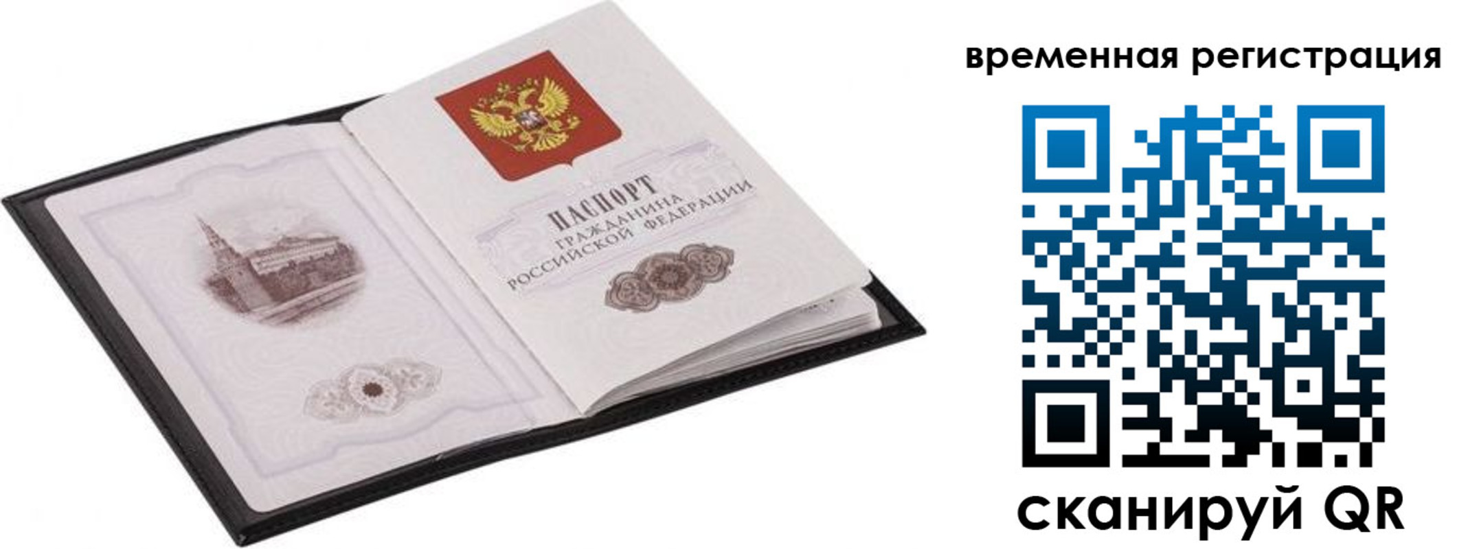 где прописаться в Светлогорске